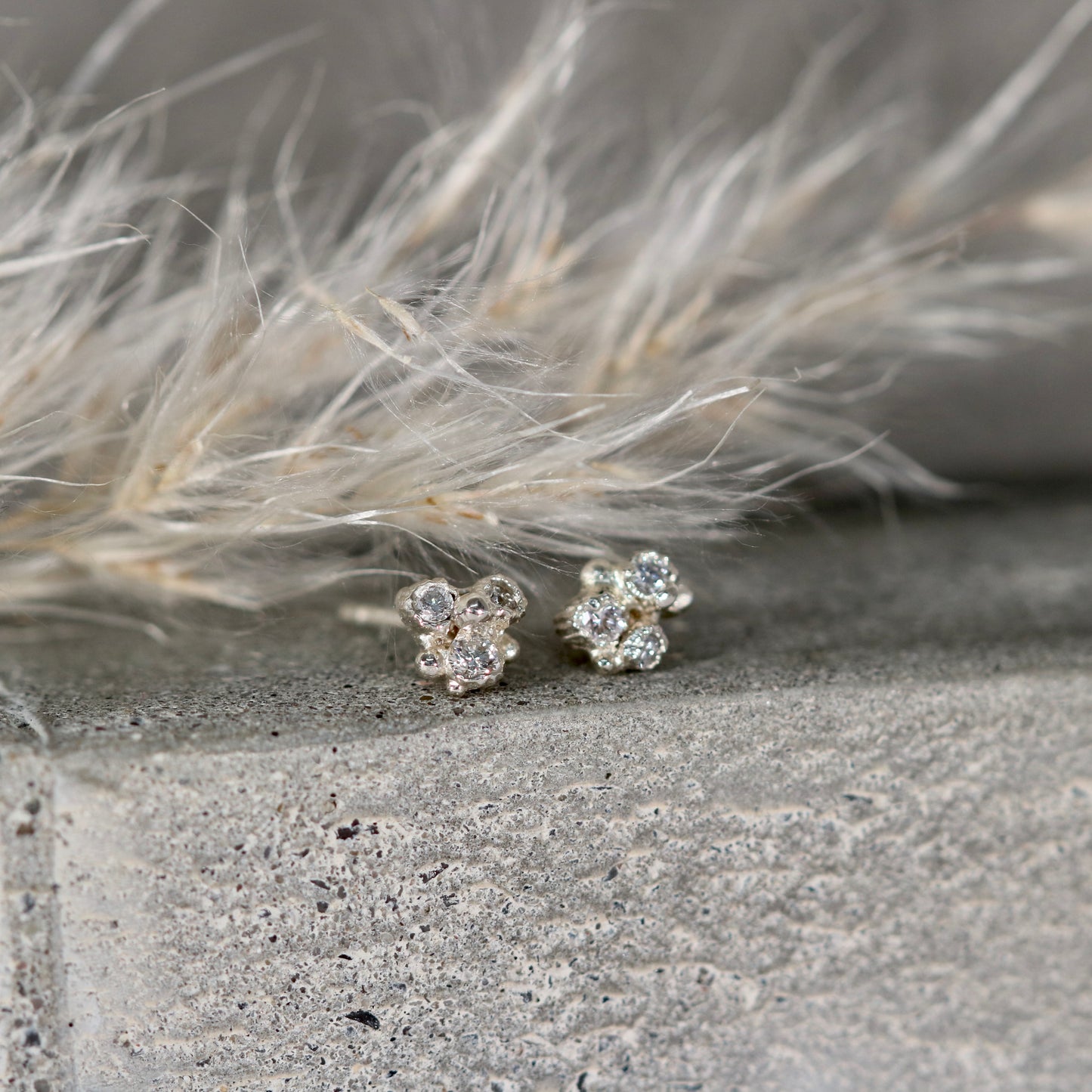 Mollusc , barnacle cluster studs
