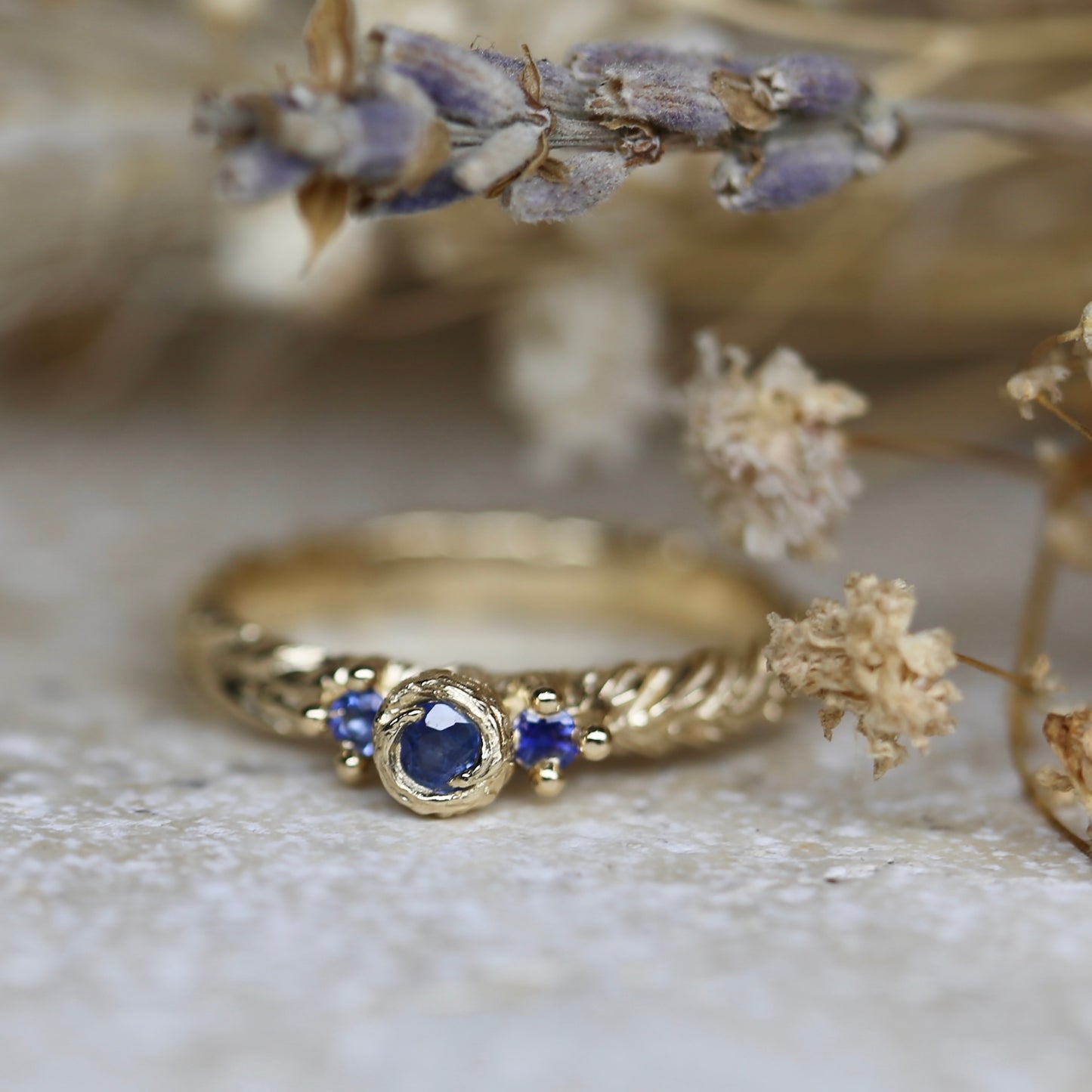 Ton y môr ( Ocean wave )