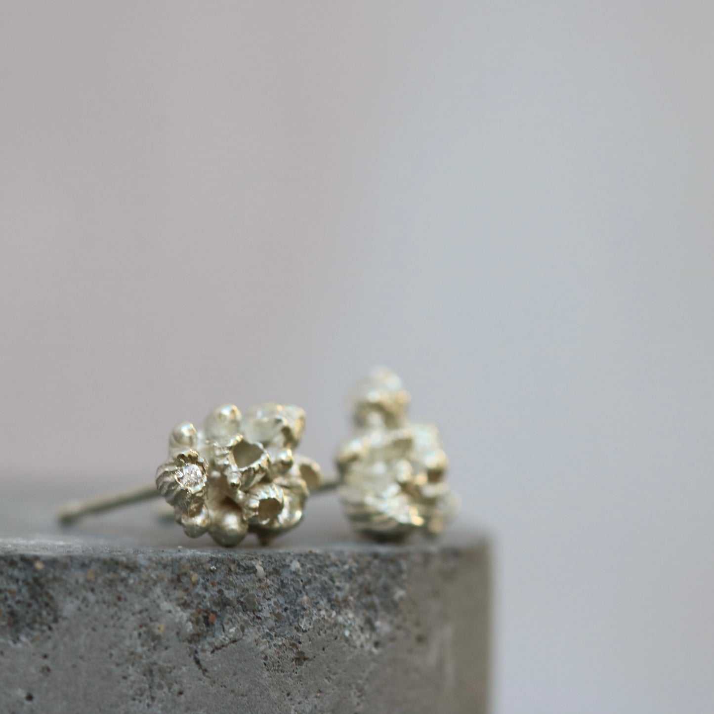 Mollusc , barnacle cluster studs