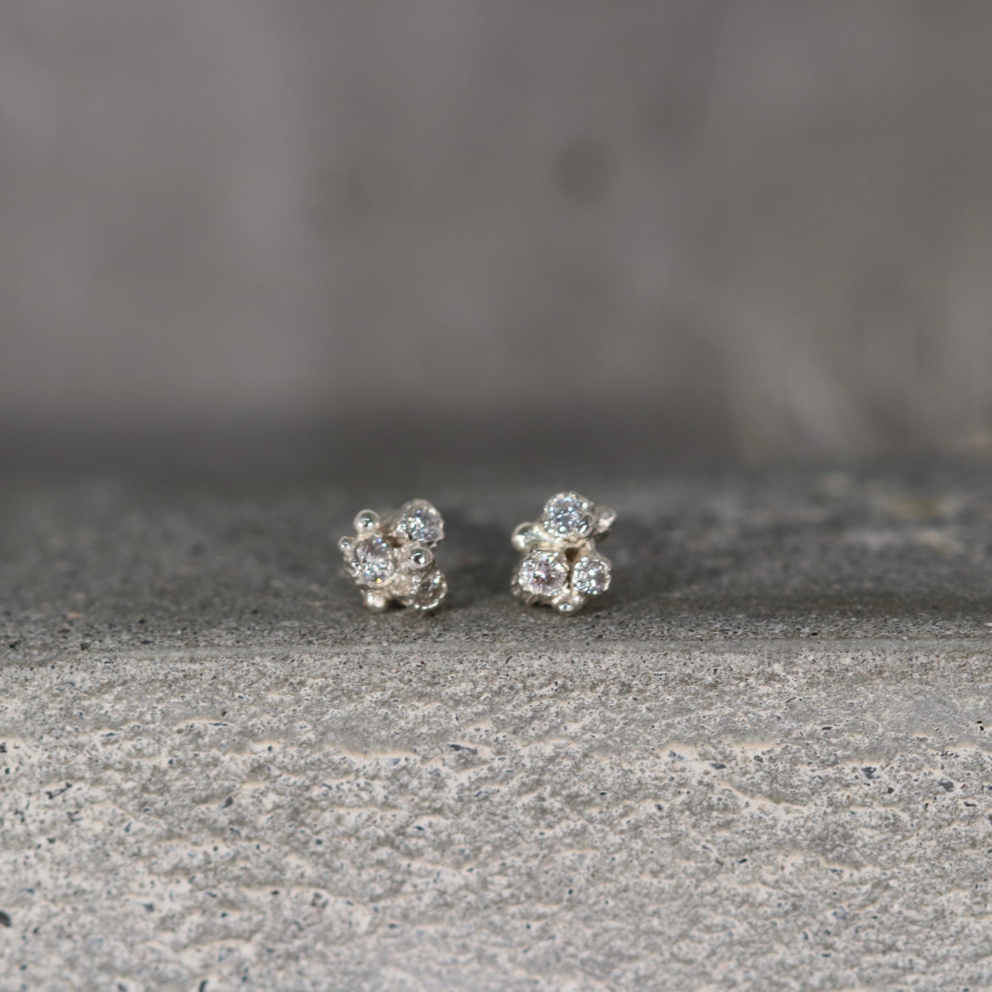 Mollusc , barnacle cluster studs