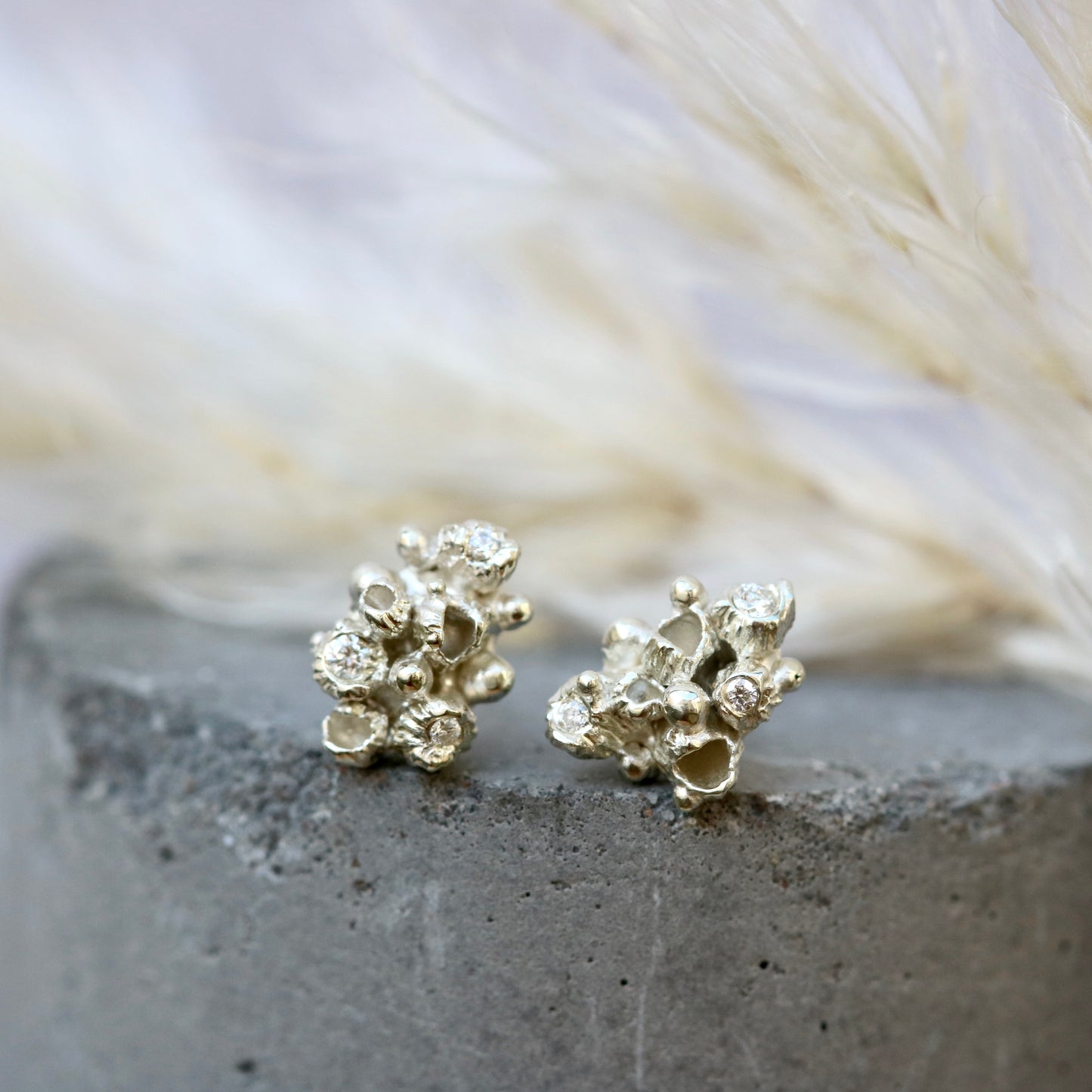Mollusc , barnacle cluster studs