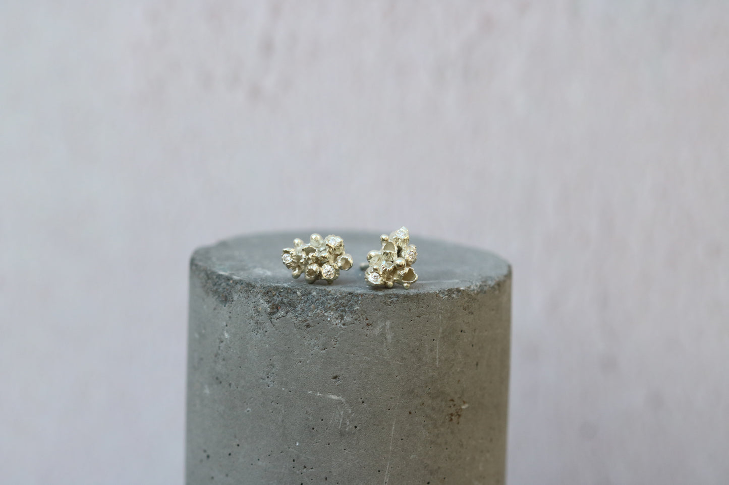 Mollusc , barnacle cluster studs