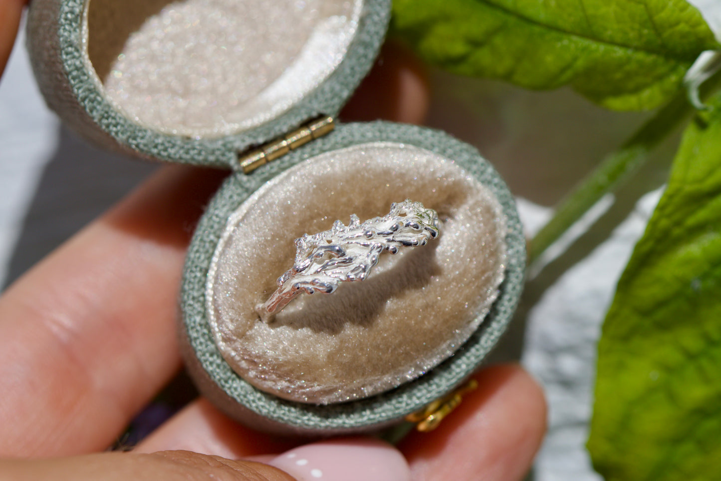 Bladder wrack ring